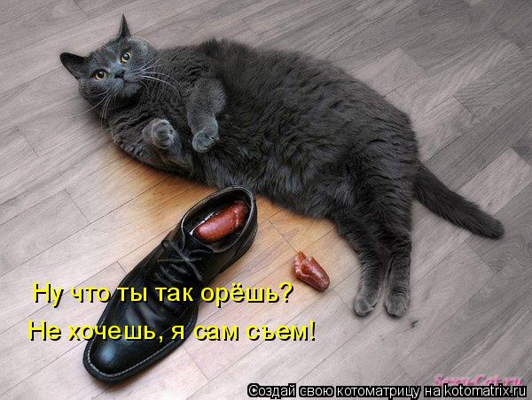 Ну что ты так орёшь? Не хочешь, я сам съем!... Котоматрица: Ну что ты так орёшь? Не хочешь, я сам съем!