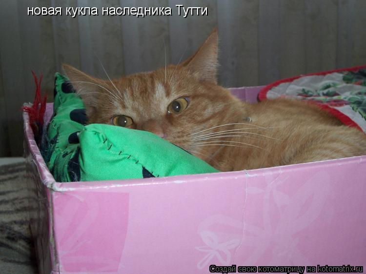 новая кукла наследника Тутти... Котоматрица: новая кукла наследника Тутти