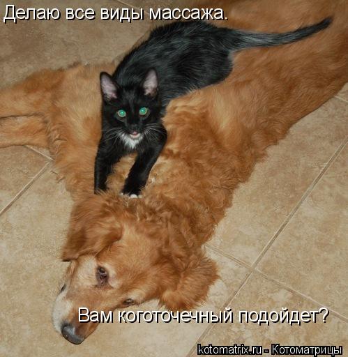 Делаю все виды массажа. Вам коготочечный подойдет?... Котоматрица: Делаю все виды массажа. Вам коготочечный подойдет?