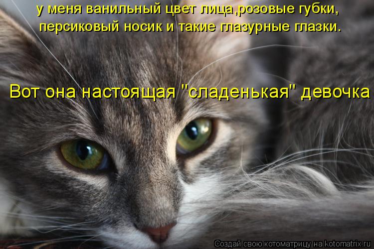 у меня ванильный цвет лица,розовые губки, персиковый носик и такие глазурные глазки. Вот она настояща... Котоматрица: у меня ванильный цвет лица,розовые губки, персиковый носик и такие глазурные глазки. Вот она настоящая "сладенькая" девочка