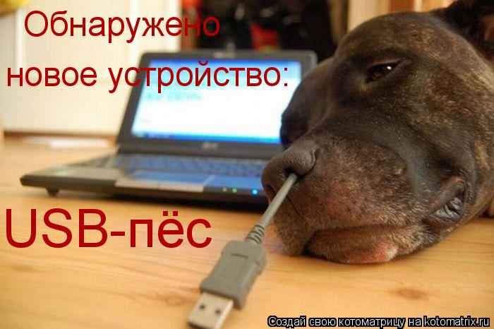 Обнаружено новое устройство: USB-пёс... Котоматрица: Обнаружено новое устройство: USB-пёс