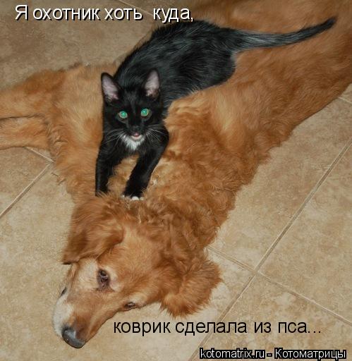 Я охотник хоть куда, коврик сделала из пса...... Котоматрица: Я охотник хоть куда, коврик сделала из пса...