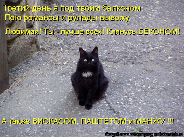 Котоматрица: Третий день я под твоим балконом Пою романсы и рулады вывожу, Любимая! Ты - лучше всех! Клянусь БЕКОНОМ! А также ВИСКАСОМ, ПАШТЕТОМ и МАНЖУ !!!