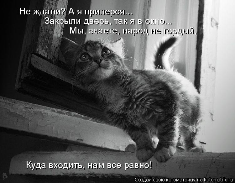 Не ждали? А я приперся... Закрыли дверь, так я в окно... Мы, знаете, народ не гордый, Куда входить,... Котоматрица: Не ждали? А я приперся... Закрыли дверь, так я в окно... Мы, знаете, народ не гордый, Куда входить, нам все равно!