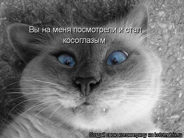 Вы на меня посмотрели и стал косоглазым... Котоматрица: Вы на меня посмотрели и стал косоглазым