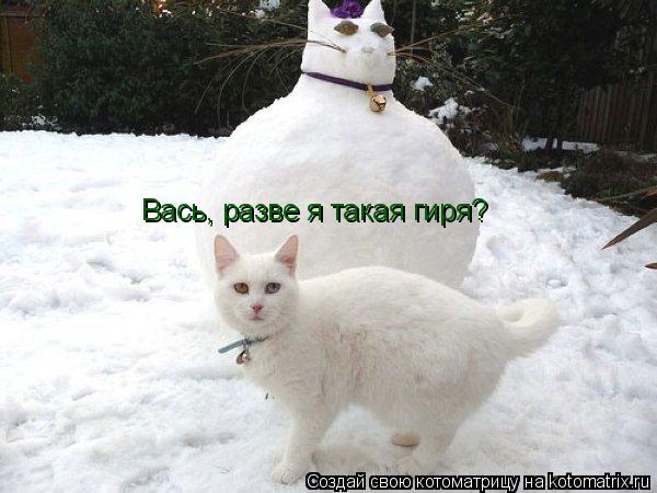 Вась, разве я такая гиря?... Котоматрица: Вась, разве я такая гиря?