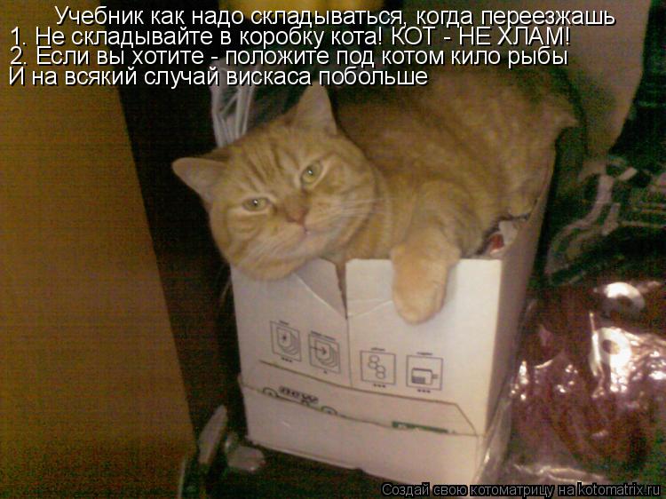 Учебник как надо складываться, когда переезжашь 1. Не складывайте в коробку кота! КОТ - НЕ ХЛАМ! 2. Е... Котоматрица: Учебник как надо складываться, когда переезжашь 1. Не складывайте в коробку кота! КОТ - НЕ ХЛАМ! 2. Если вы хотите - положите под котом кило рыб