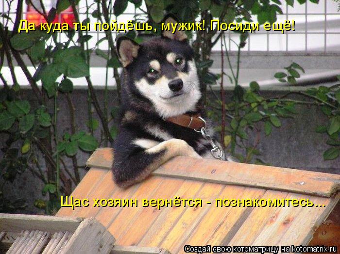 Да куда ты пойдёшь, мужик! Посиди ещё! Щас хозяин вернётся - познакомитесь...... Котоматрица: Да куда ты пойдёшь, мужик! Посиди ещё! Щас хозяин вернётся - познакомитесь...