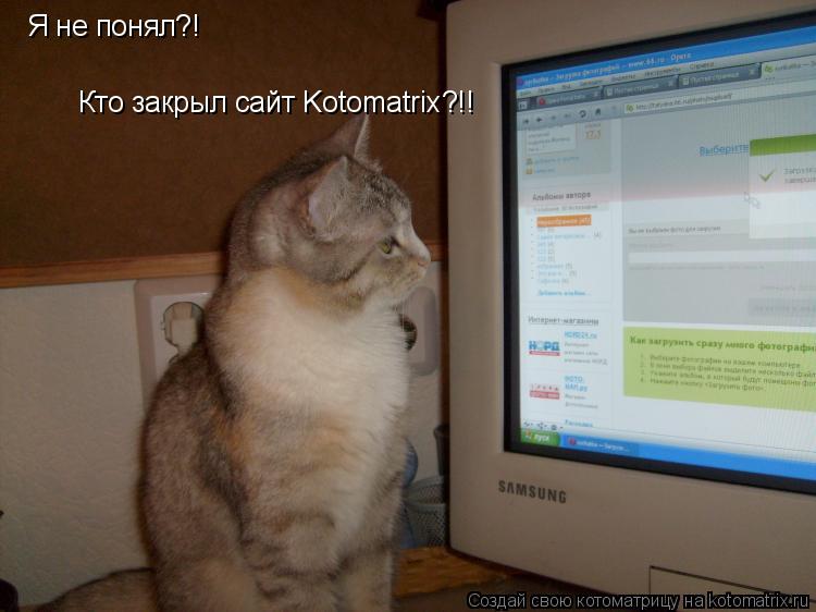 Я не понял?! Кто закрыл сайт Kotomatrix?!!... Котоматрица: Я не понял?! Кто закрыл сайт Kotomatrix?!!
