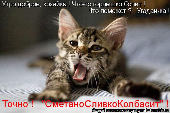 Котоматрица: Что поможет ?   Угадай-ка ! Утро доброе, хозяйка ! Что-то горлышко болит ! Точно !   "СметаноСливкоКолбасит" !