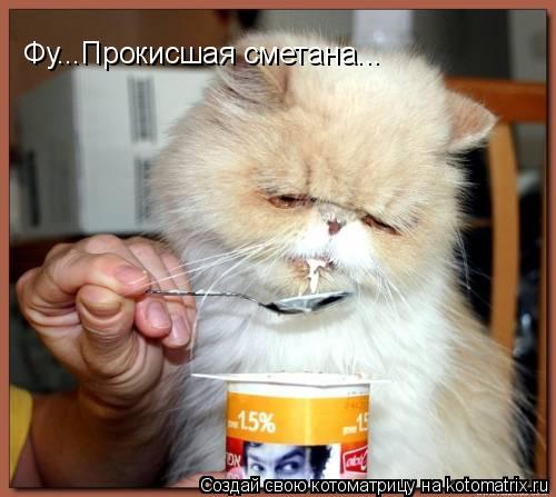 Фу...Прокисшая сметана...... Котоматрица: Фу...Прокисшая сметана...