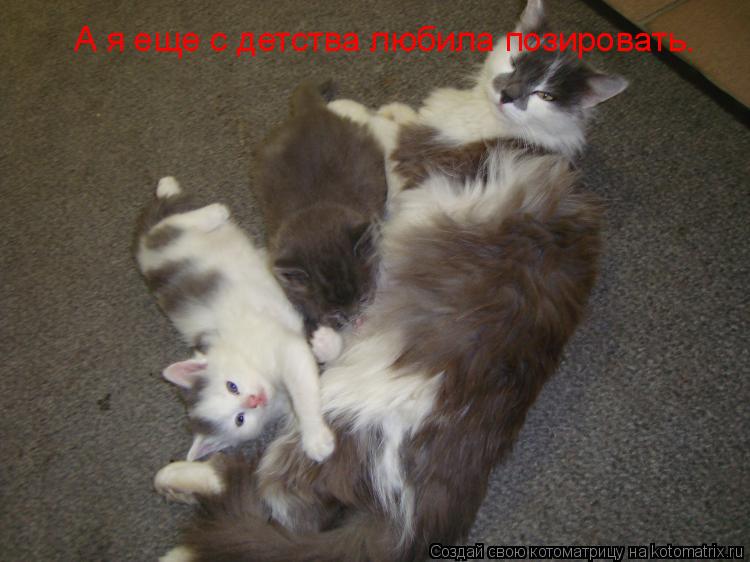 А я еще с детства любила позировать.... Котоматрица: А я еще с детства любила позировать.