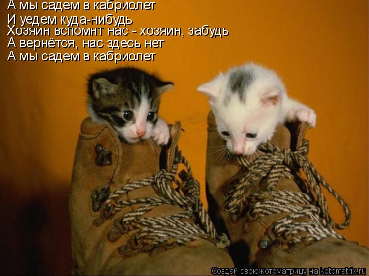 И уедем куда-нибудь А мы садем в кабриолет Хозяин вспомнт нас - хозяин, забудь А вернётся, нас здесь ... Котоматрица: И уедем куда-нибудь А мы садем в кабриолет Хозяин вспомнт нас - хозяин, забудь А вернётся, нас здесь нет А мы садем в кабриолет