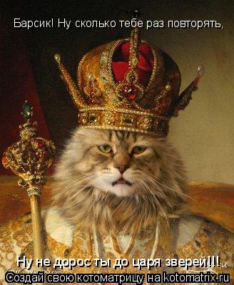 Барсик! Ну сколько тебе раз повторять, Ну не дорос ты до царя зверей!!!... Котоматрица: Барсик! Ну сколько тебе раз повторять, Ну не дорос ты до царя зверей!!!