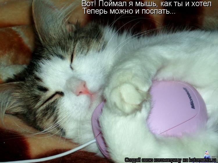 Вот! Поймал я мышь, как ты и хотел Теперь можно и поспать...... Котоматрица: Вот! Поймал я мышь, как ты и хотел Теперь можно и поспать...