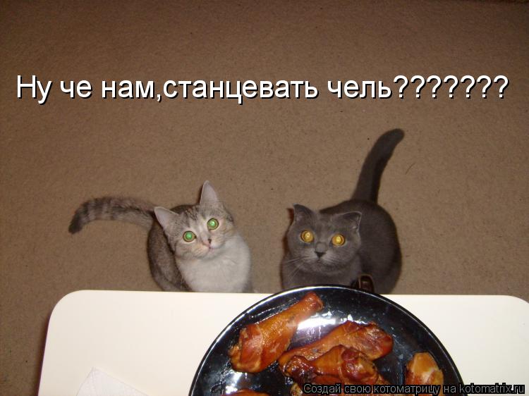 Ну че нам,станцевать чель???????... Котоматрица: Ну че нам,станцевать чель???????