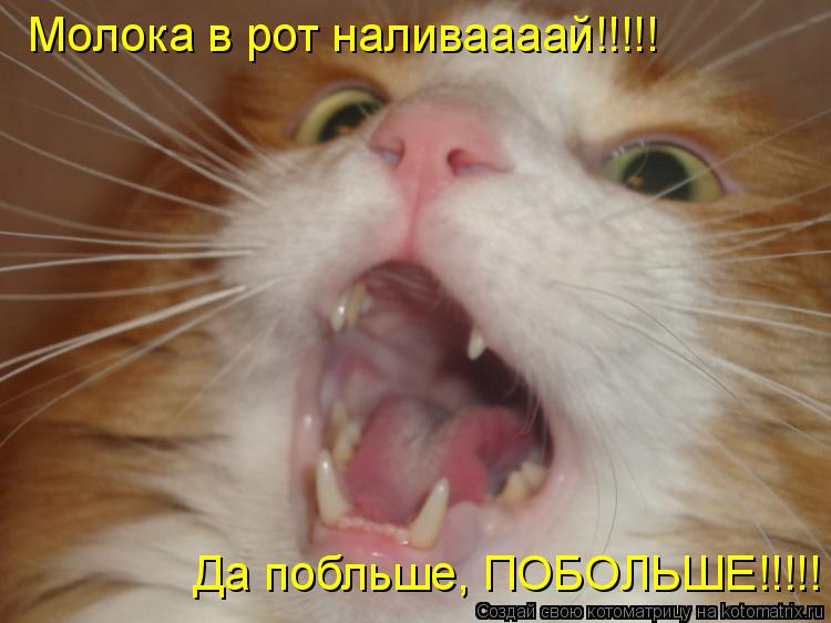 Молока в рот наливаааай!!!!! Да побльше, ПОБОЛЬШЕ!!!!!... Котоматрица: Молока в рот наливаааай!!!!! Да побльше, ПОБОЛЬШЕ!!!!!
