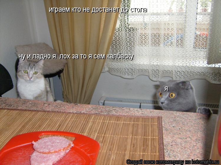 играем кто не достанет до стола я ну и ладно я лох за то я сем калбаску... Котоматрица: играем кто не достанет до стола я ну и ладно я лох за то я сем калбаску