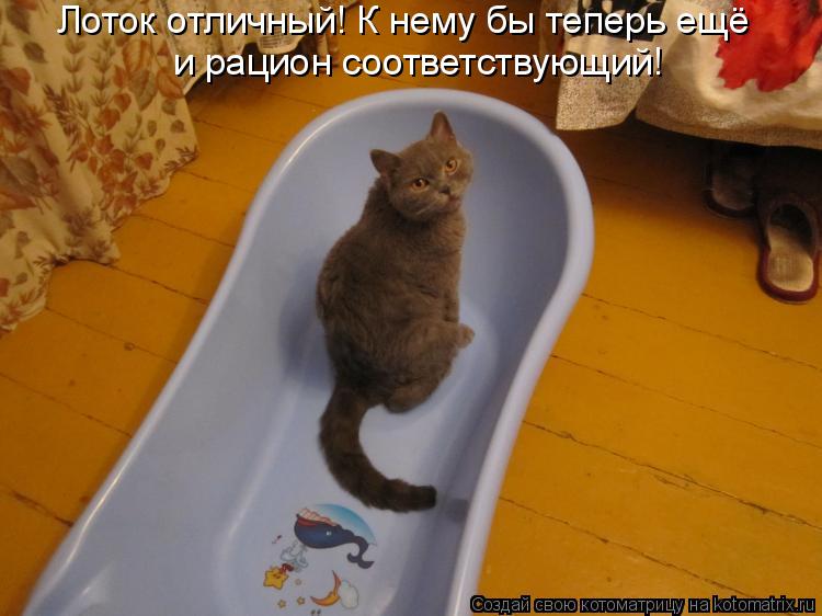 Лоток отличный! К нему бы теперь ещё и рацион соответствующий!... Котоматрица: Лоток отличный! К нему бы теперь ещё и рацион соответствующий!