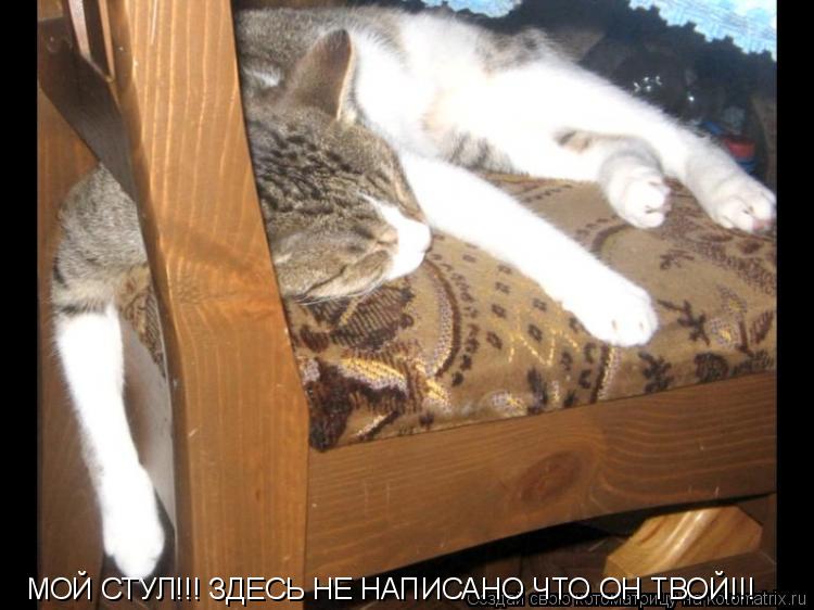 МОЙ СТУЛ!!! ЗДЕСЬ НЕ НАПИСАНО ЧТО ОН ТВОЙ!!!... Котоматрица: МОЙ СТУЛ!!! ЗДЕСЬ НЕ НАПИСАНО ЧТО ОН ТВОЙ!!!