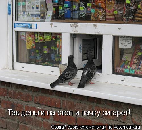 Так деньги на стол и пачку сигарет!... Котоматрица: Так деньги на стол и пачку сигарет!