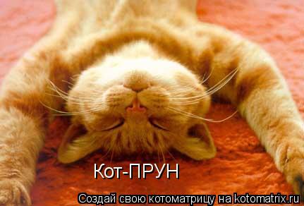 Кот-ПРУН... Котоматрица: Кот-ПРУН