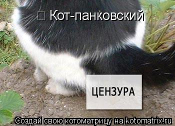 Кот-панковский... Котоматрица: Кот-панковский