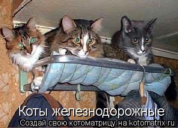 Коты железнодорожные... Котоматрица: Коты железнодорожные