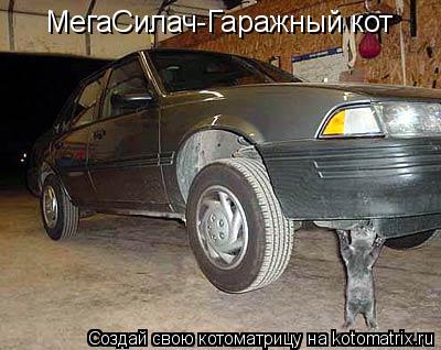 МегаСилач-Гаражный кот... Котоматрица: МегаСилач-Гаражный кот