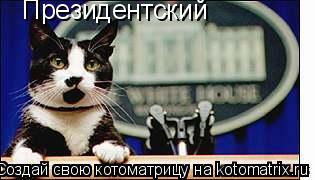 Президентский... Котоматрица: Президентский
