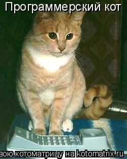 Программерский кот... Котоматрица: Программерский кот