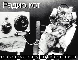 Радио кот... Котоматрица: Радио кот