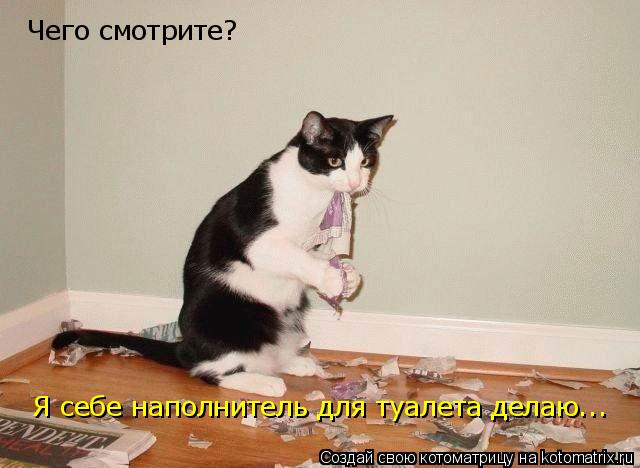 Чего смотрите? Я себе наполнитель для туалета делаю...... Котоматрица: Чего смотрите? Я себе наполнитель для туалета делаю...