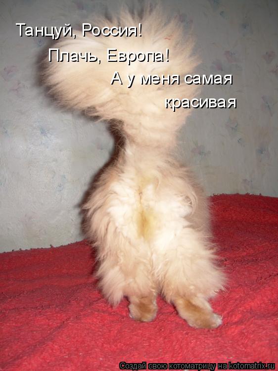 Плачь, Европа! Танцуй, Россия! А у меня самая красивая... Котоматрица: Плачь, Европа! Танцуй, Россия! А у меня самая красивая