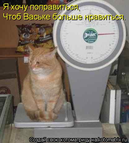 Чтоб Ваське больше нравиться. Я хочу поправиться,... Котоматрица: Чтоб Ваське больше нравиться. Я хочу поправиться,