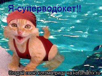 Я-суперводокет!!... Котоматрица: Я-суперводокет!!