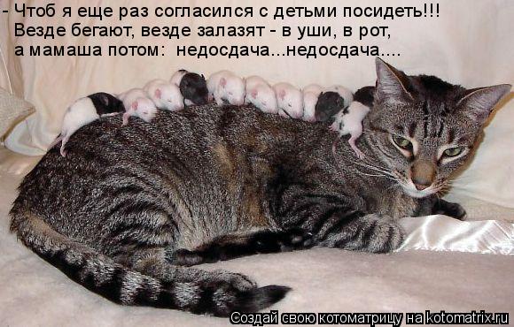 а мамаша потом: недосдача...недосдача.... - Чтоб я еще раз согласился с детьми посидеть!!! Везде бег... Котоматрица: а мамаша потом: недосдача...недосдача.... - Чтоб я еще раз согласился с детьми посидеть!!! Везде бегают, везде залазят - в уши, в рот,