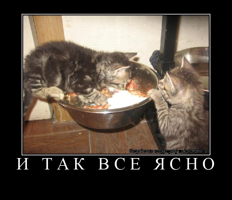 И так всё ясно ... Котоматрица: И так всё ясно