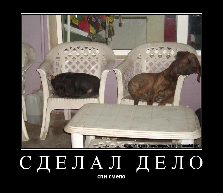 сделал дело спи смело... Котоматрица: сделал дело спи смело