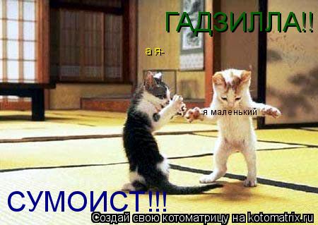 я маленький ГАДЗИЛЛА!! а я- СУМОИСТ!!!... Котоматрица: я маленький ГАДЗИЛЛА!! а я- СУМОИСТ!!!