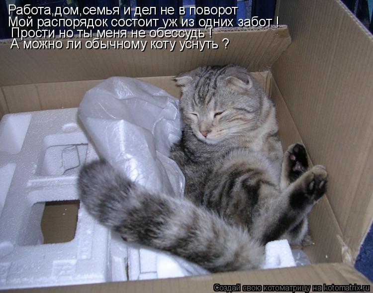 Работа,дом,семья и дел не в поворот Мой распорядок состоит уж из одних забот ! Прости но ты меня не ... Котоматрица: Работа,дом,семья и дел не в поворот Мой распорядок состоит уж из одних забот ! Прости но ты меня не обессудь ! А можно ли обычному коту уснут