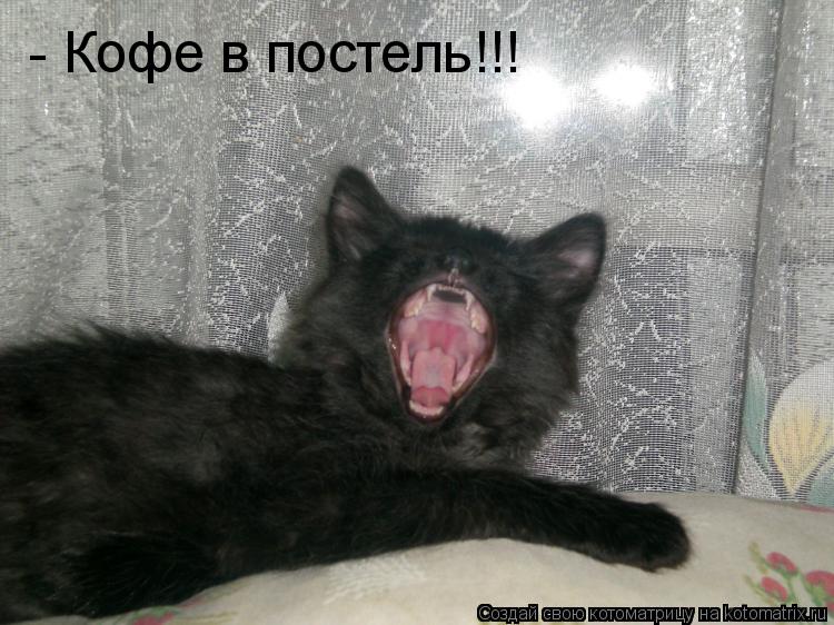 - Кофе в постель!!!... Котоматрица: - Кофе в постель!!!