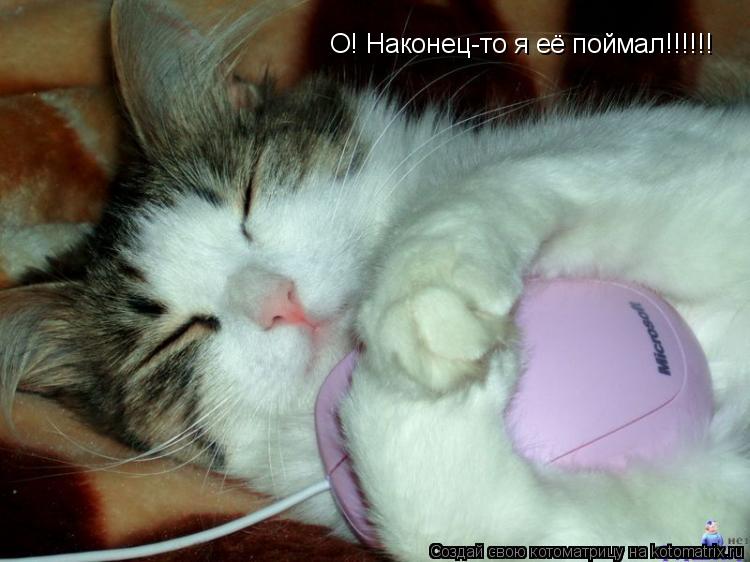 О! Наконец-то я её поймал!!!!!!... Котоматрица: О! Наконец-то я её поймал!!!!!!