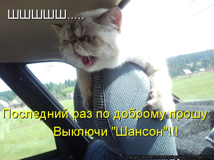 ШШШШШ..... Последний раз по доброму прошу: Выключи "Шансон"!!!... Котоматрица: ШШШШШ..... Последний раз по доброму прошу: Выключи "Шансон"!!!
