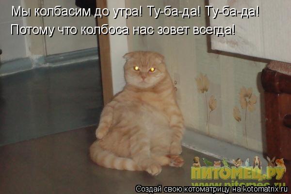 Мы колбасим до утра! Ту-ба-да! Ту-ба-да! Потому что колбоса нас зовет всегда!... Котоматрица: Мы колбасим до утра! Ту-ба-да! Ту-ба-да! Потому что колбоса нас зовет всегда!