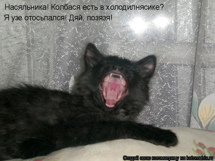 Насяльника! Колбася есть в холодилнясике? Я узе отосьпался! Дяй, позязя!... Котоматрица: Насяльника! Колбася есть в холодилнясике? Я узе отосьпался! Дяй, позязя!