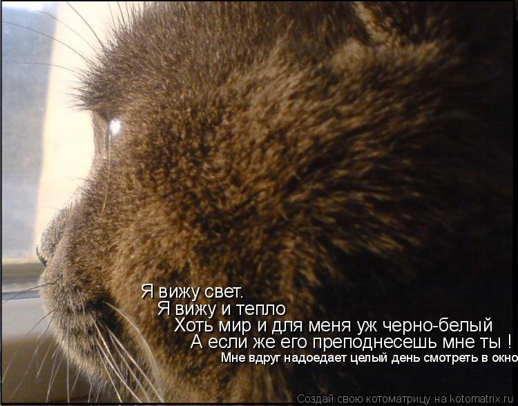 Я вижу свет. Я вижу и тепло Хоть мир и для меня уж черно-белый А если же его преподнесешь мне ты... Котоматрица: Я вижу свет. Я вижу и тепло Хоть мир и для меня уж черно-белый А если же его преподнесешь мне ты ! Мне вдруг надоедает целый день смотреть