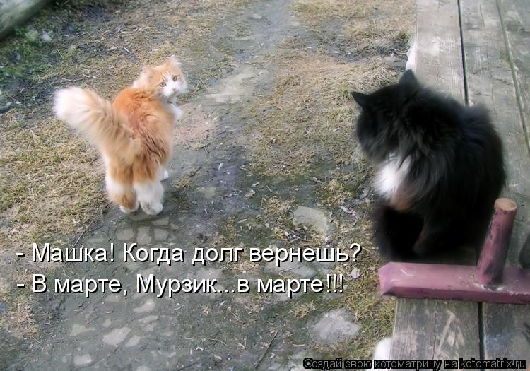 - Машка! Когда долг вернешь? - В марте, Мурзик...в марте!!!... Котоматрица: - Машка! Когда долг вернешь? - В марте, Мурзик...в марте!!!