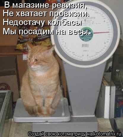 Котоматрица: В магазине ревизия, Не хватает провизии. Недостачу колбасы Мы посадим на весы.