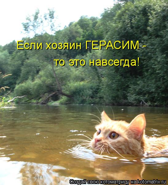 Если хозяин ГЕРАСИМ - то это навсегда!... Котоматрица: Если хозяин ГЕРАСИМ - то это навсегда!